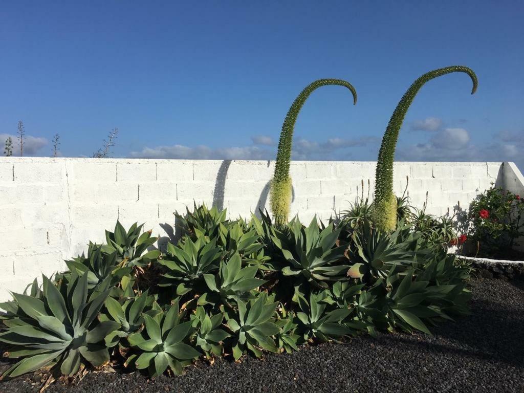 Villa Playa La Salemera - La PalmaMalpaíses エクステリア 写真